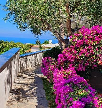 Appartamenti Luongo Forio di Ischia Exteriér fotografie