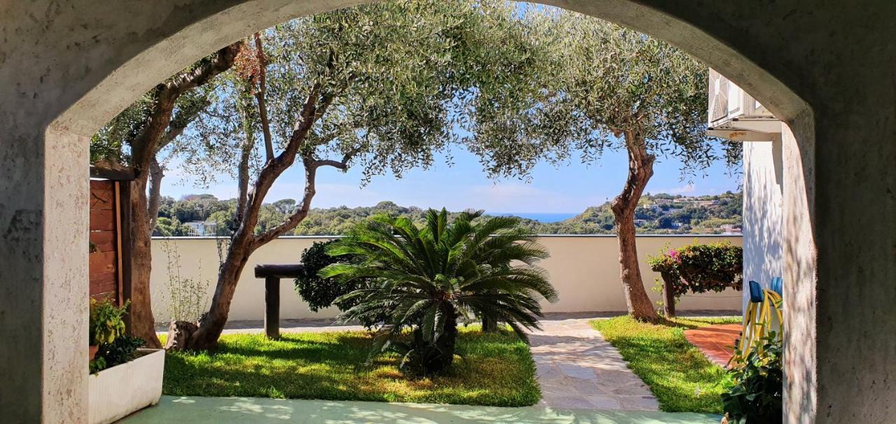 Appartamenti Luongo Forio di Ischia Exteriér fotografie