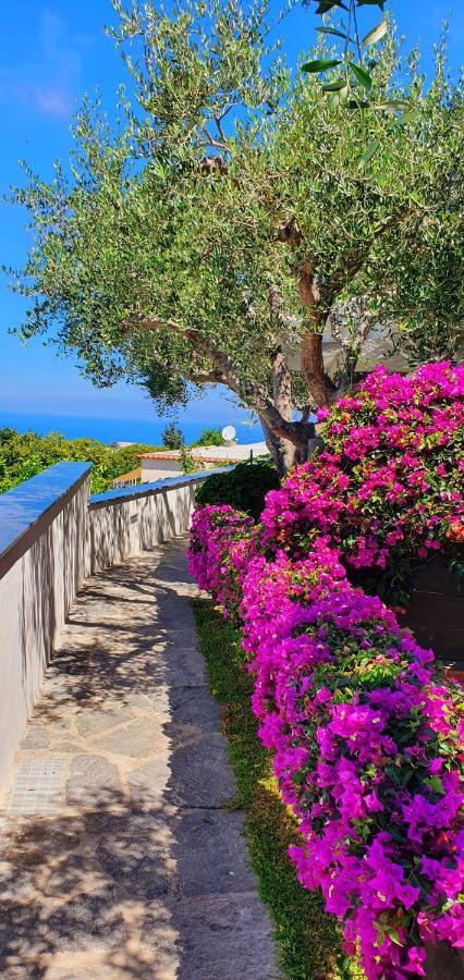 Appartamenti Luongo Forio di Ischia Exteriér fotografie