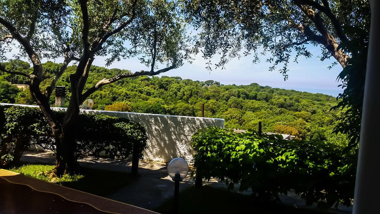 Appartamenti Luongo Forio di Ischia Exteriér fotografie