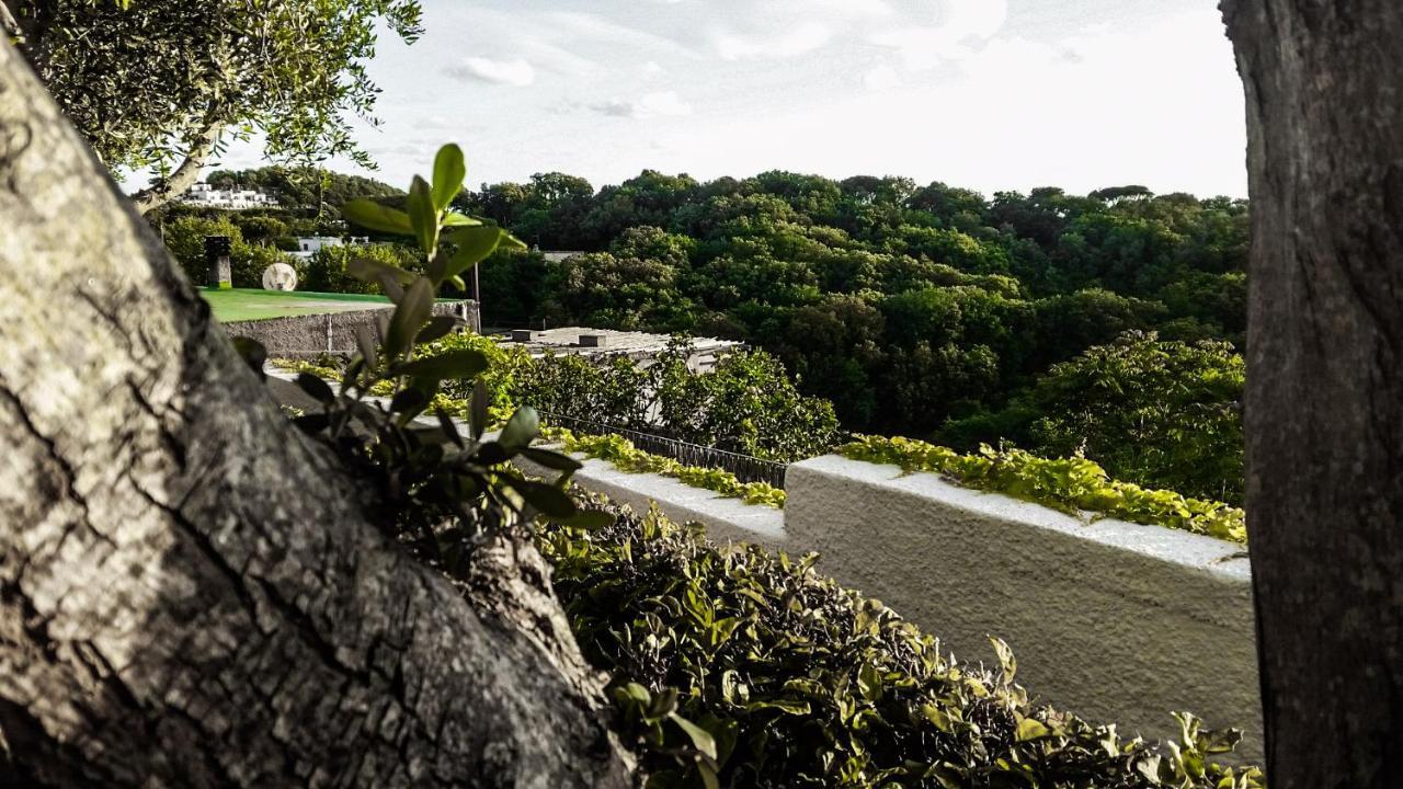Appartamenti Luongo Forio di Ischia Exteriér fotografie