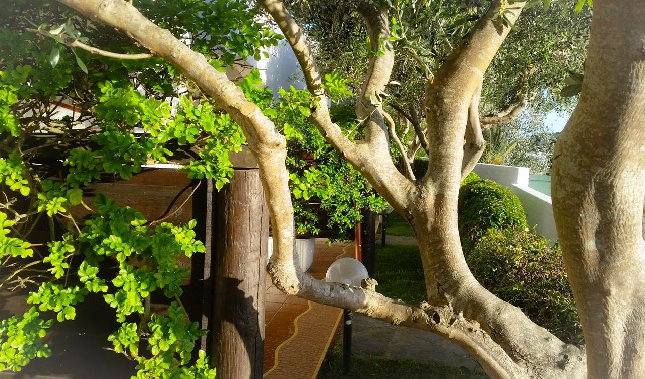 Appartamenti Luongo Forio di Ischia Exteriér fotografie