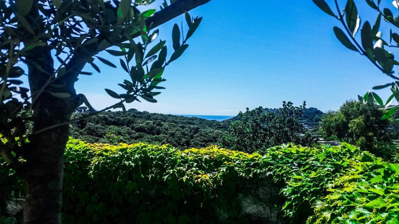 Appartamenti Luongo Forio di Ischia Exteriér fotografie