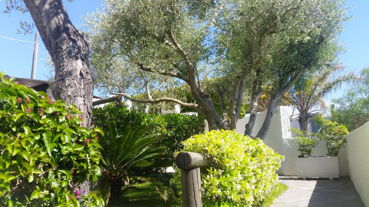Appartamenti Luongo Forio di Ischia Exteriér fotografie