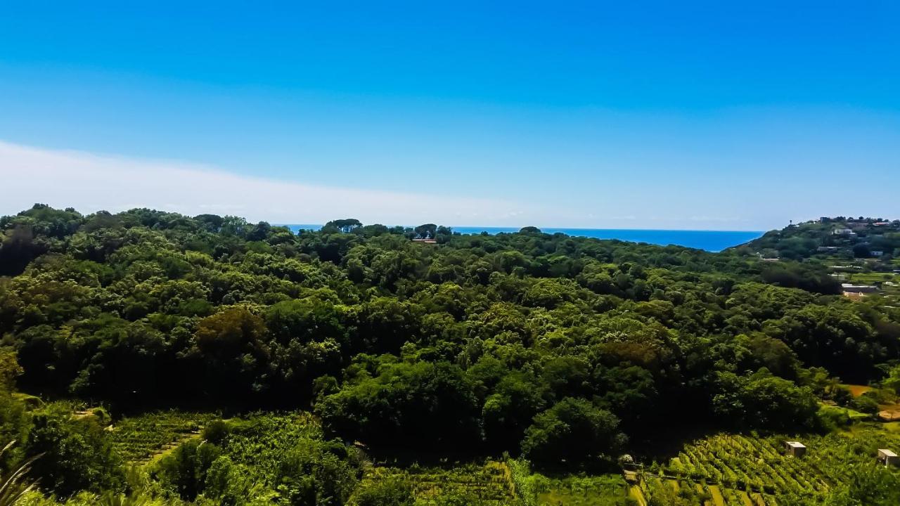 Appartamenti Luongo Forio di Ischia Exteriér fotografie