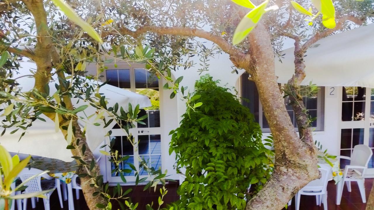 Appartamenti Luongo Forio di Ischia Exteriér fotografie