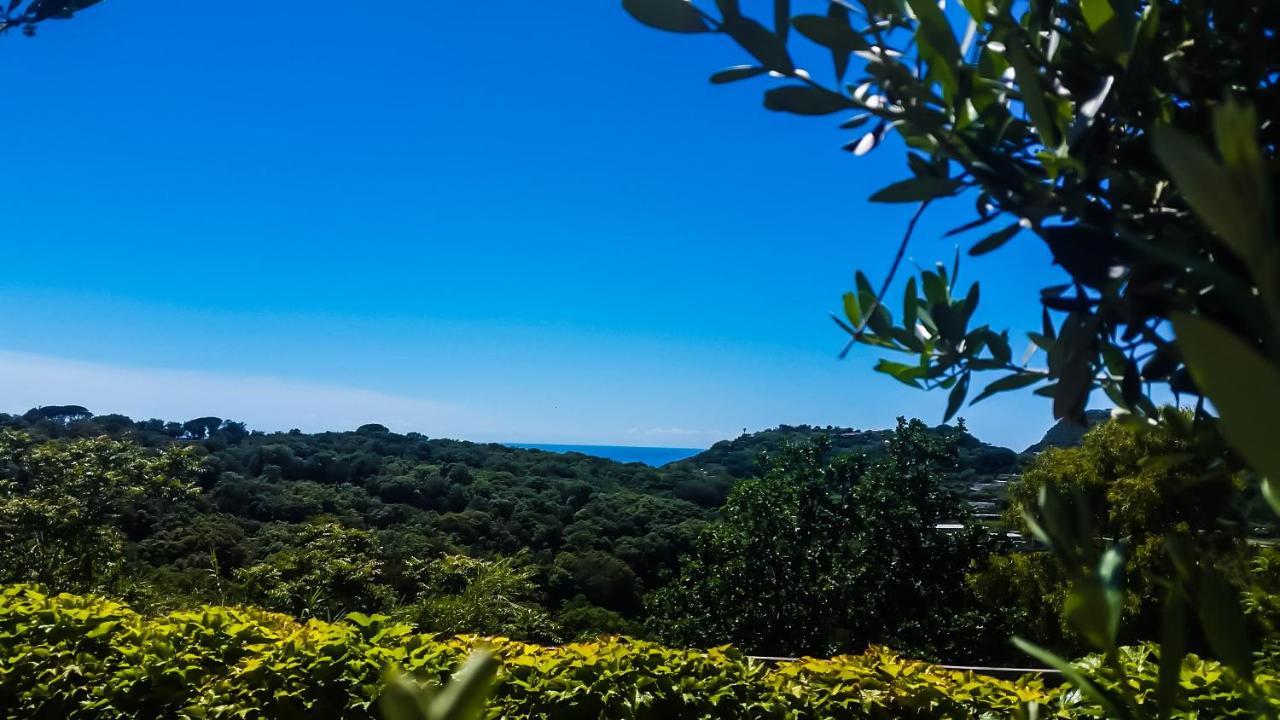 Appartamenti Luongo Forio di Ischia Exteriér fotografie