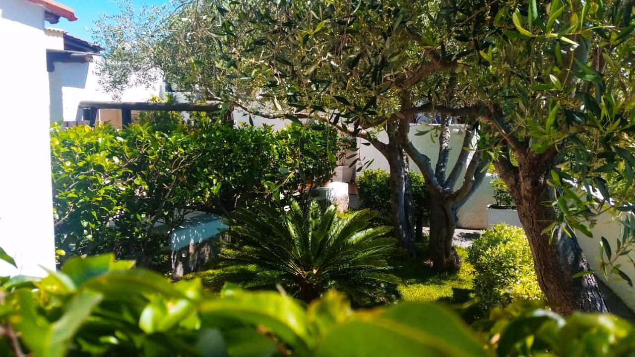 Appartamenti Luongo Forio di Ischia Exteriér fotografie