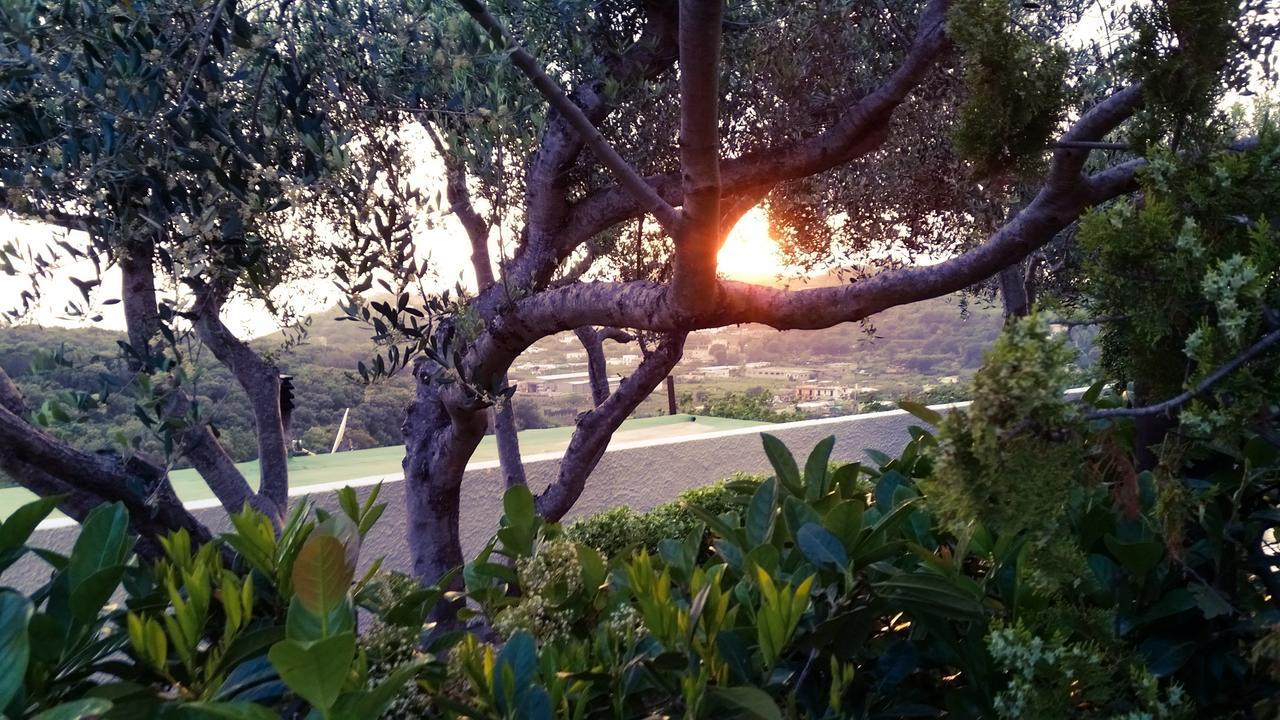Appartamenti Luongo Forio di Ischia Exteriér fotografie